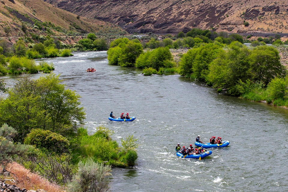 Whitewater rafts traveling down the scenic Lower Deschutes River with guides 